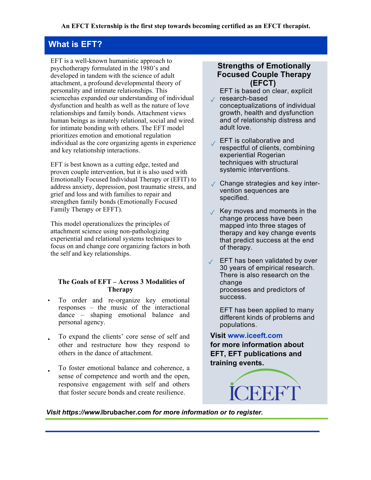 EFCT Externship – What is EFT? reference flyer from ICEEFT